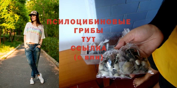 гашиш Абаза
