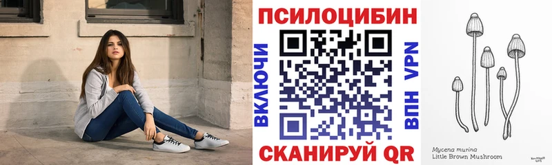Псилоцибиновые грибы Magic Shrooms  Бирюсинск 
